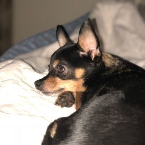 Meet your Posher, Heather